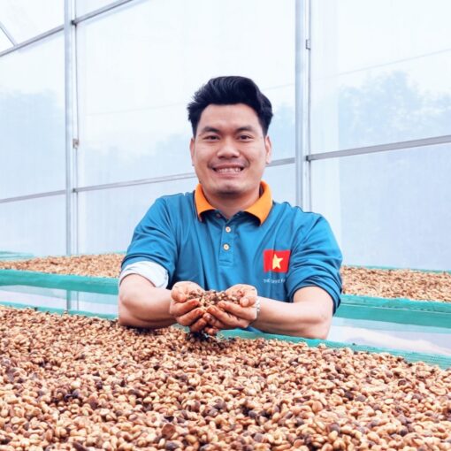 Arabica coffee