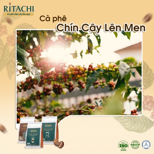 Ritachi roasted coffee