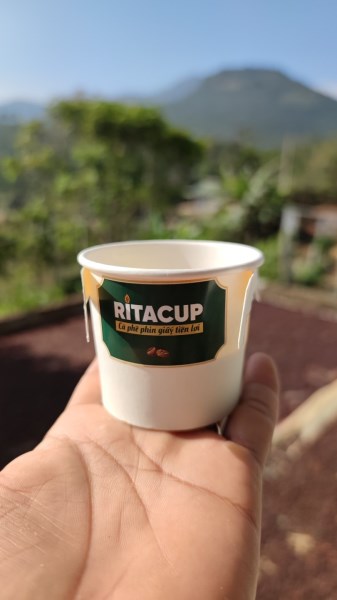 Paper coffee filter