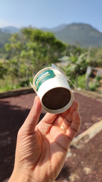 Paper coffee filter