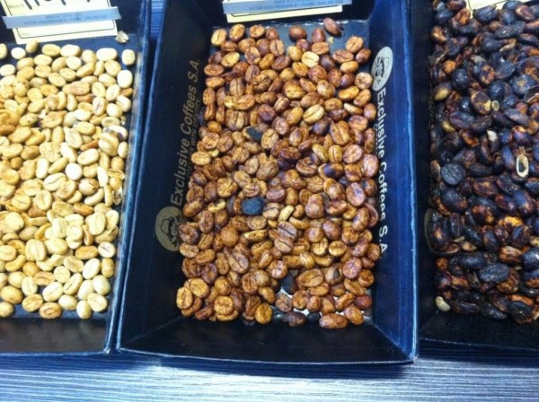 Robusta coffee
