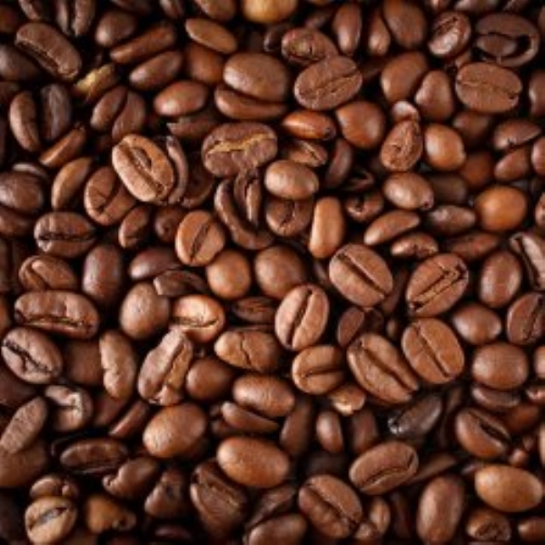 Special Robusta coffee beans
