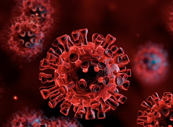 Anti-SARS-CoV-2