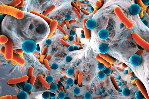 Antibacterial fabric