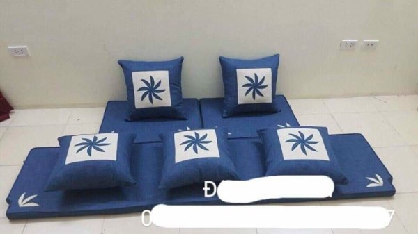 Sofa cushion