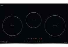 Eurosun Induction cooker