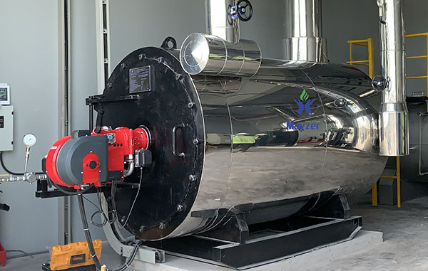 Mayzer oil-fired boiler (DO FO)