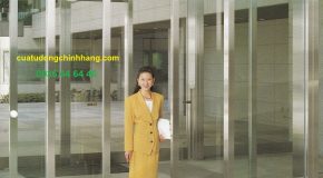 Dream DC4 Automatic door