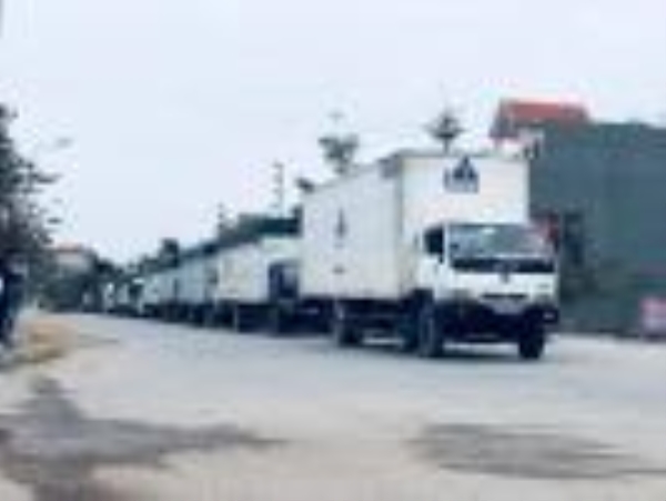 Road cargo transport