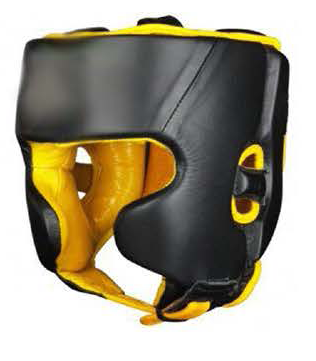 Head guard