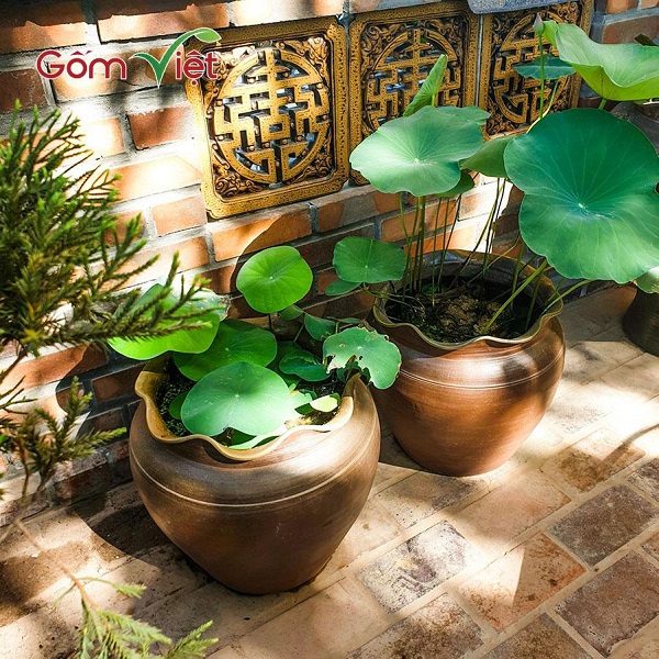 Water jar for planting plant