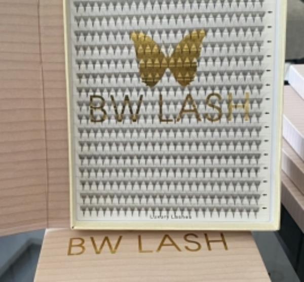 Camelia Premade Fans Lash