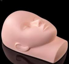 Mannequin Training Head