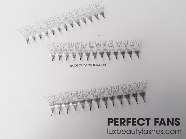 False Eyelashes