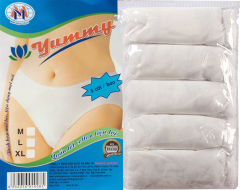 Women`s cotton panties