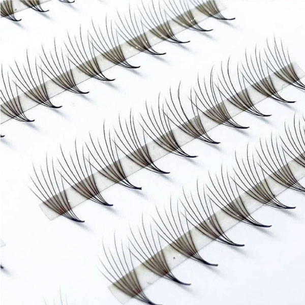 Premade Fan Camellia Eyelashes 12Line