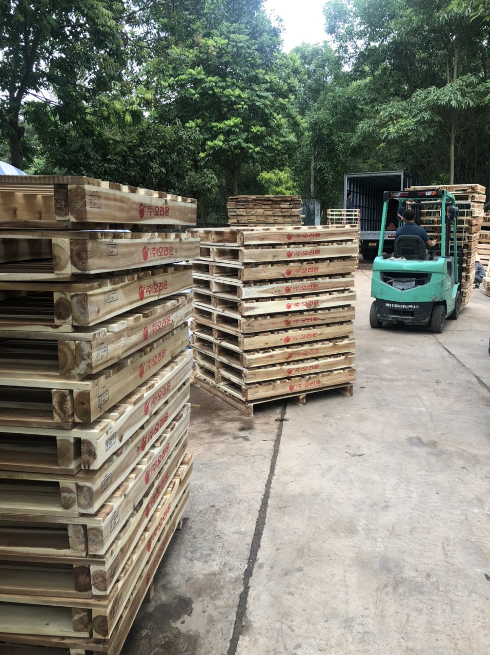 Acacia wood pallet