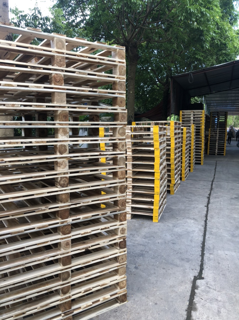 Acacia wood pallet