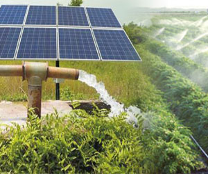 Solar-Powered Irrigation Solutions