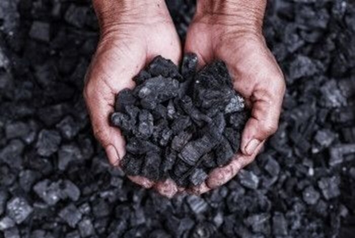 Coal inspection