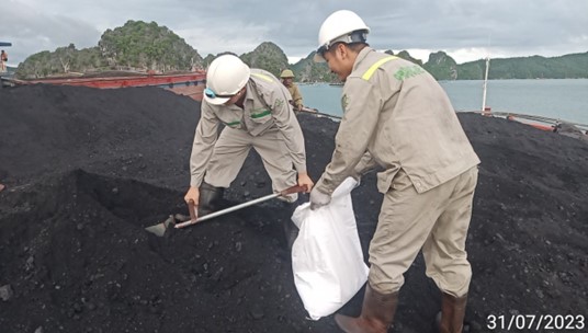 Sampling coal