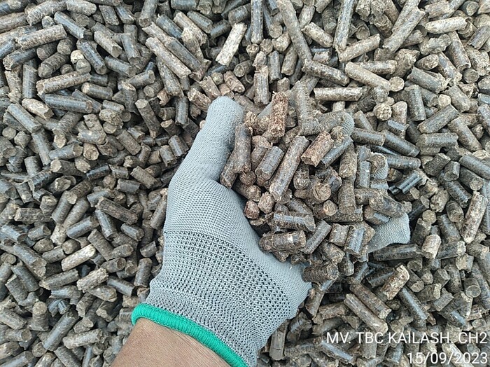Wood Pellet inspection