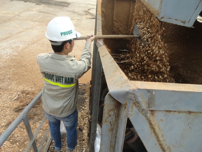 Wood chip sampling
