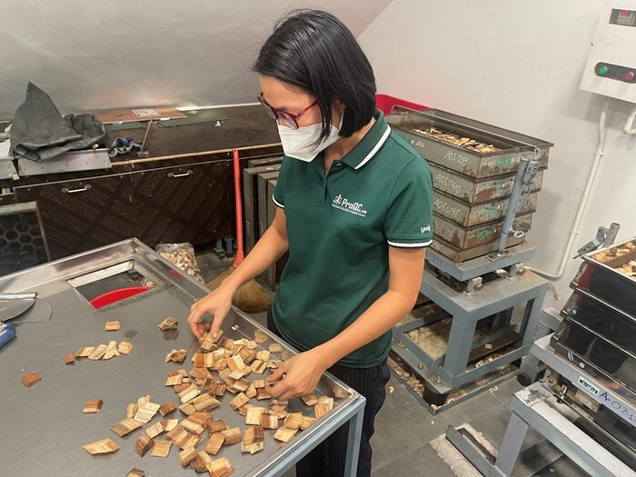 Wood chip inspection