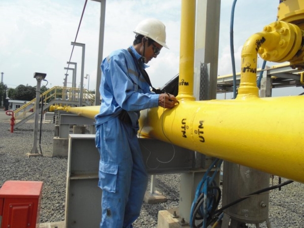 Industrial inspection service