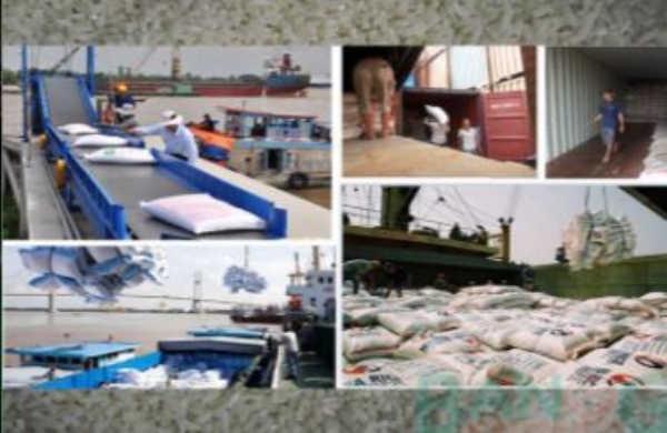 Agricultural products, food inspection