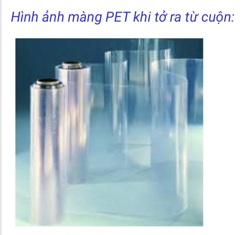 PET film
