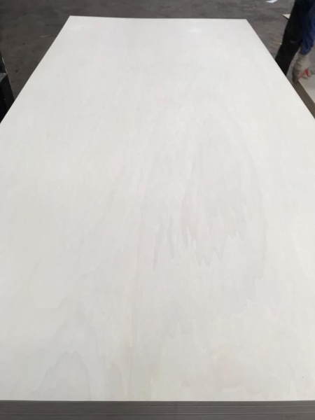 Bleach poplar