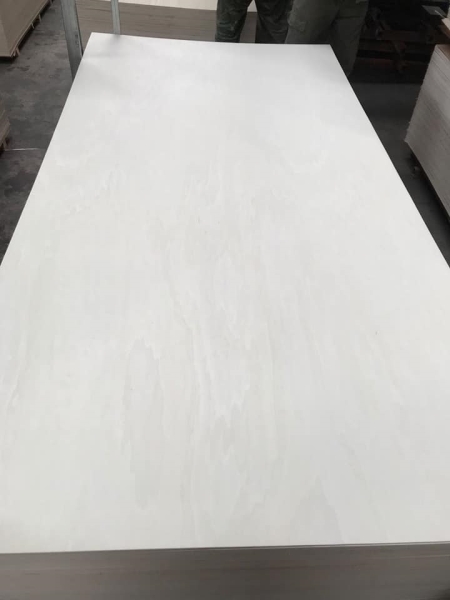Bleach poplar