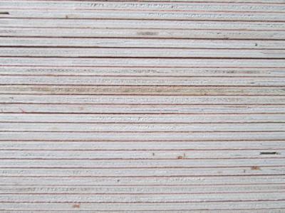 5.2mm Edge