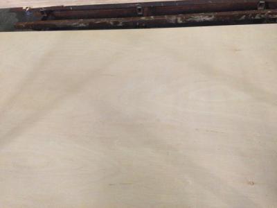 White birch D grade
