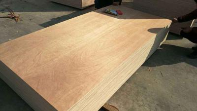 Sapele