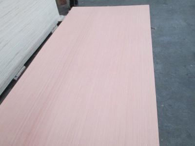 Red color EV poplar