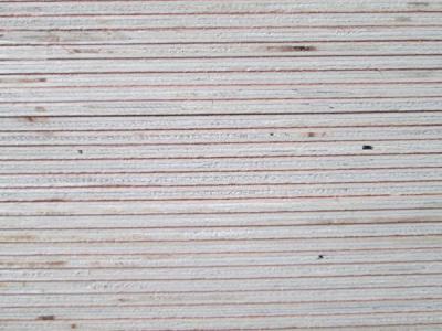 5.2mm Edge