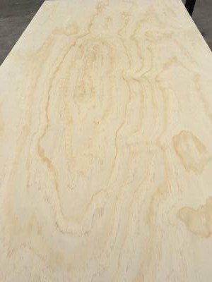 Radiata Pine C plus