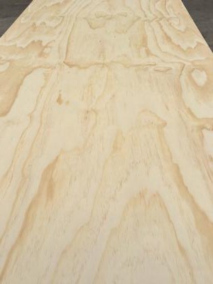Radiata Pine C plus