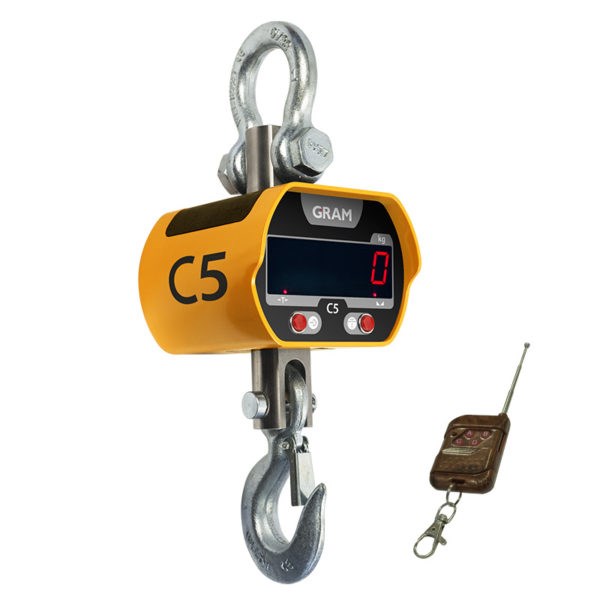 Electronic hanging scale