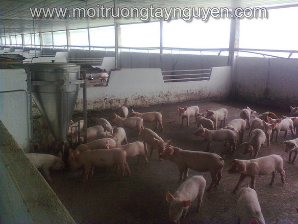 Van Hung Phat Livestock Farm