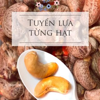 Windy Cashew Nuts