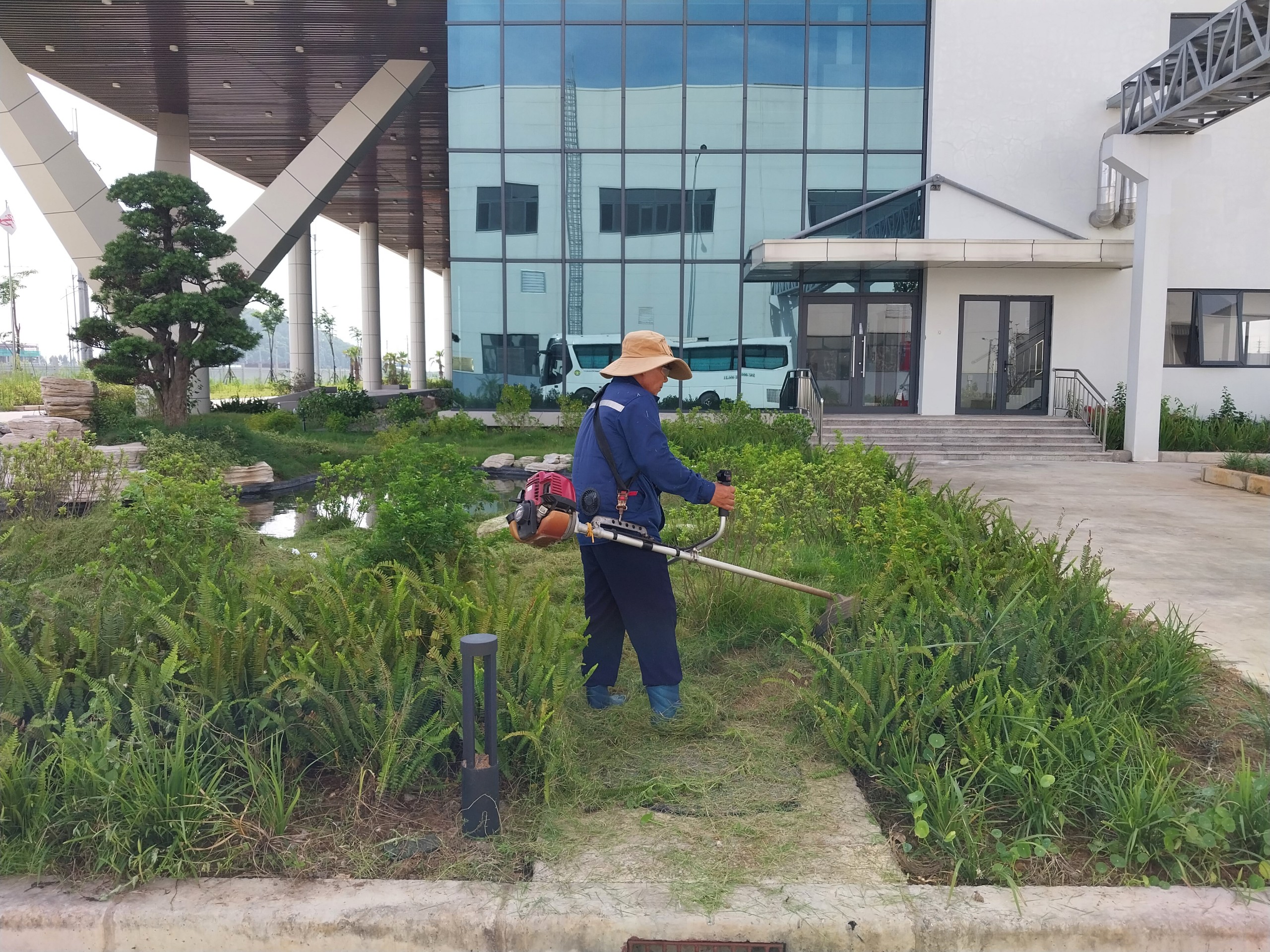 Tree service