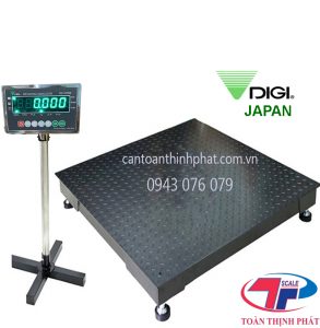 DS 167SS Floor scale
