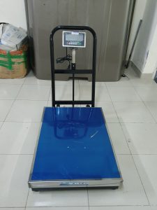 DS 167SS Table scale