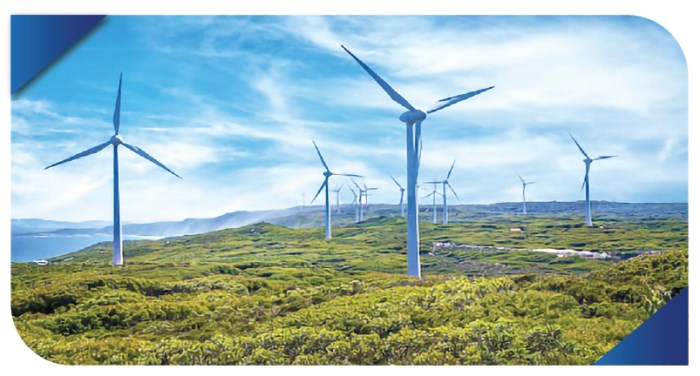 Cho Long & Yang Trung wind power plant