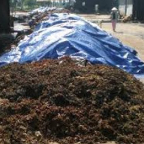 Dried chicken manure