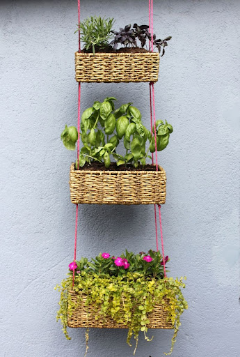 Sedge basket for planting