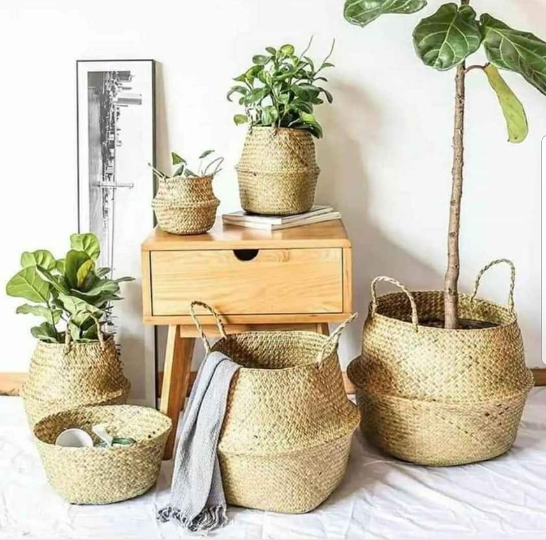 Sedge basket for planting